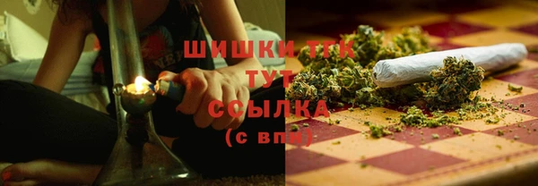 крисы Арсеньев