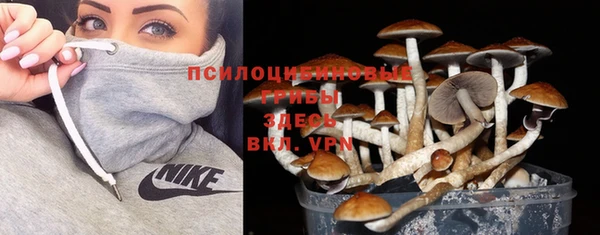 амф Аркадак